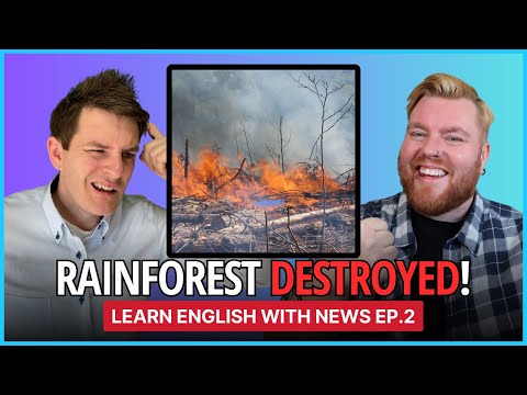 Rainforest DESTRUCTION! |