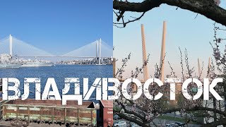 Владивосток от Морского вокзала до театра Горького (1 мая 2024).