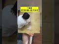折り紙みたい！　#モテるオトナ塾 #飯田美代子 #90代 #浴衣　#浴衣のたたみ方