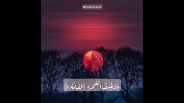 تركي الرميح تلاوة جميلة سورة القيامة #تلاوة