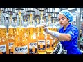 CÓMO se HACE la CERVEZA CORONA ???? | PROCESO INDUSTRIAL ????
