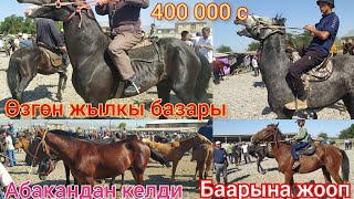 Өзгөн жылкы базары. Бул жолу базар абдан кызыды.