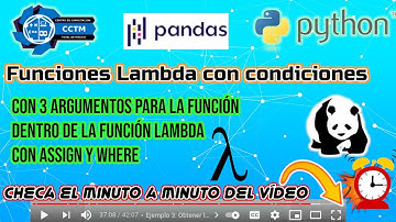 🐼 ¿Cómo usar condiciones en una función Lambda, para crear una nueva columna?| Pandas|Python