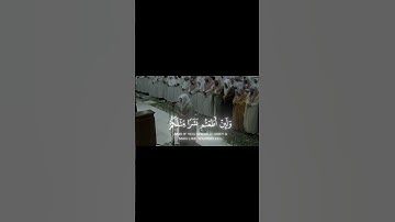 سُورة المؤمنون، من الآية 34. #قران_كريم #سورة_المؤمنون #ياسر_الدوسري