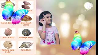 sea shell craft||kids butterfly 🦋sea shell 🐚 crafts ideas ||kids crafts with sea shell 🐚🐚 screenshot 1