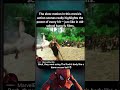 The Rundown (2003) – Spinning Tarzan Jiu Jitsu