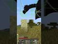 RAREST DEATH MESSAGE IN MINECRAFT!