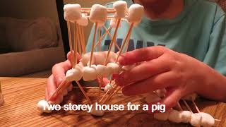 Marshmallow Construction. STEM project