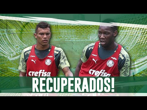 🚨📰 PALMEIRAS ANUNCIA CAMPEÃ DA LIBERTADORES; GABRIEL VERON E PATRICK DE PAULA SE RECUPERAM DE LESÃO