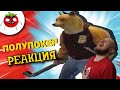 ЗАСМЕЯЛСЯ - ПОДПИСАЛСЯ!! ЛУЧШИЕ ПРИКОЛЫ I 507 СЕКУНД СМЕХА - РЕАКЦИЯ НА БАЛТИМОР