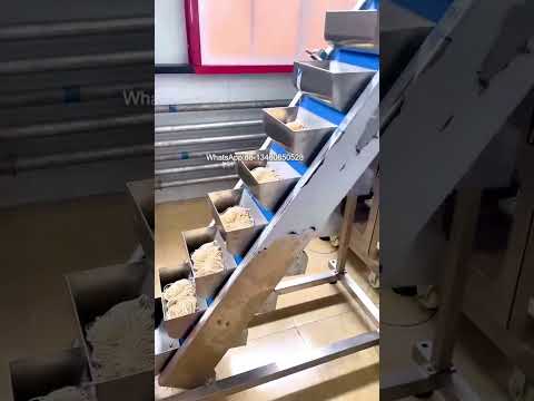 Fresh Noodle Automatic