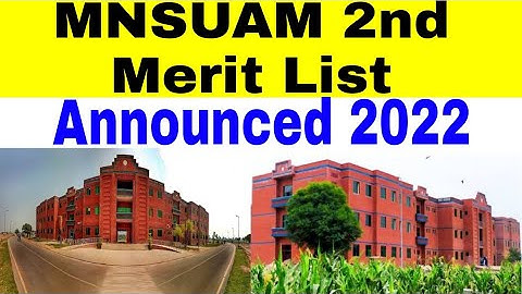 Muhammad Nawaz Sharif University of Agriculture Multan 2nd Merit List Announced 2022 BS Programs