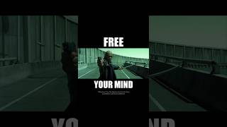 Morpheus VS Twins - Matrix Reloaded Scene [ Song by The Hyphenate &amp; Judo Keys ]