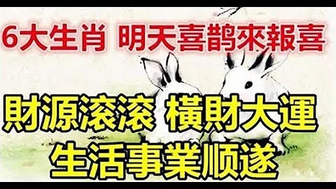 明天喜鹊来报喜，6大生肖财源滚滚，生活事业顺遂 - 天天要闻