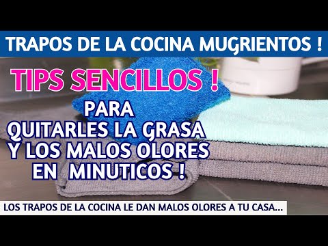 Cuáles son los mejores trapos de cocina según Profeco y cómo