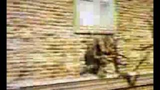 COD5 Glitches upheaval