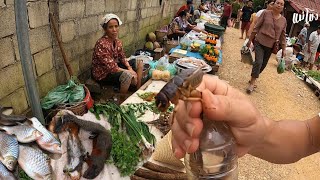 ตลาดนัดบ้านหนองเขียว หลวงพระบาง สปป.ลาว ร้านขายเนื้อ ปลาน้ำอู แมงจิโป่ม ของป่าแนวแซ่บ