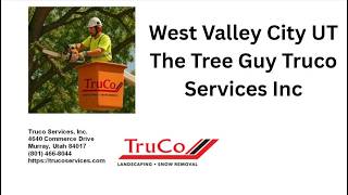 West Valley City UT The Tree Guy Truco Services Inc