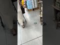 Candid Asian mom’s feet