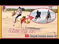 Raval pir patti horse race | mastani ni moj ha | mandvi horse race | 24 | 02 | 2025 | #horse