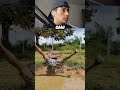 WTF!!! Porque hace eso!!  #viral #shorts  #caída