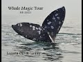 Whale Magic Tours Feb 26 2021