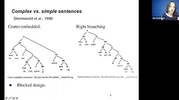 8-3 SYNTAX-SEMANTICS: Broca & Syntax (25mins)