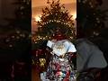 Christmas 🎄🎁