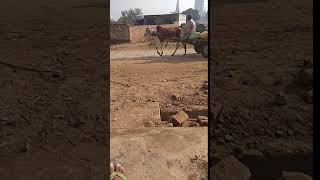 VID 20181226 105745