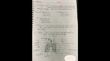 human respiratory system & function easy/ define respiratory & type #HAP #pharma #short #science
