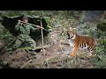 A dangerous predator appears in a new hideout, the escape is full of danger, survival alone