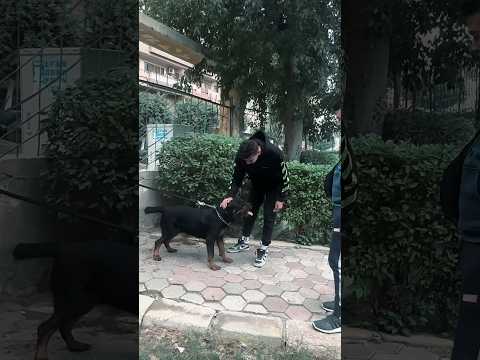 قابلت ابن بوتشر لأول مره