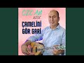 Amelini gr gari