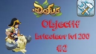 [Dofus] Monter bricoleur lvl 200 ep2 - (lvl50 à 100)