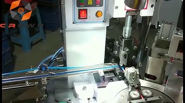 Fully Automatic Wire Cut Strip Crimp Machine for Two-end Ferrules Terminal Crimping WL-YJS2.0