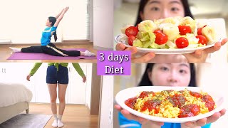 Diet｜3일동안 -1.4kg｜달콤한 꿀&시나몬 그릭요거트, 부드럽고 고소한 두부달걀볶음을 스파게티처럼 만들어 먹기