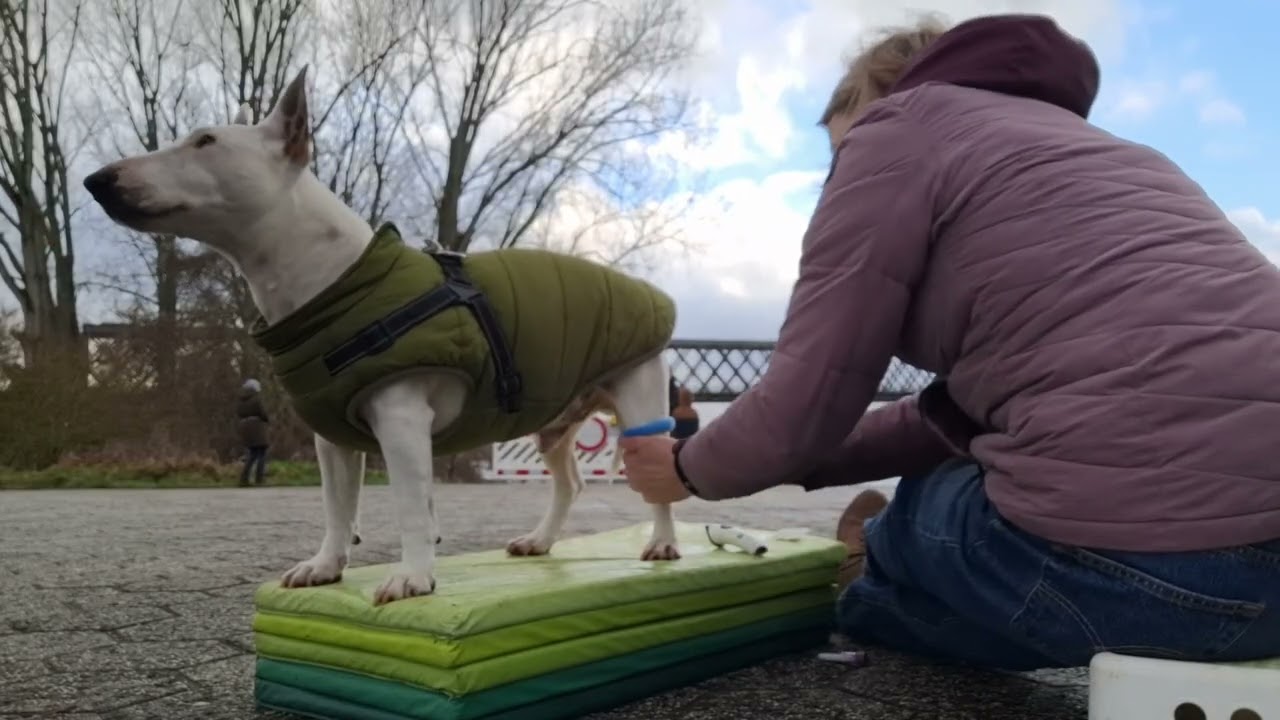 Pauls Weg zur Blutentnahme - 3. Trainingseinheit 