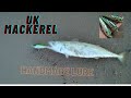 Mackerel catch with handmade lures