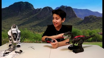 The best remote controlled toy!!!  (Lywey Remote Control Dinosaur,  Fistone RC Robot Dinosaur