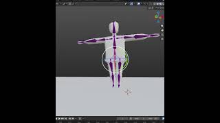 How to reset bone rig rotation!