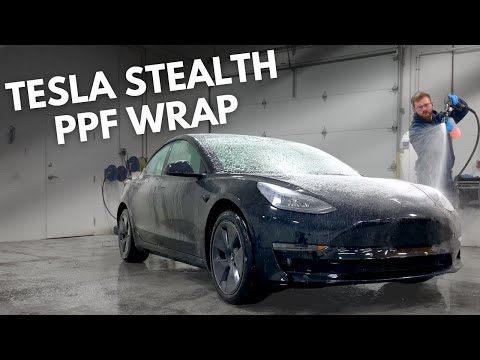 2019 Tesla Model 3 - Xpel Stealth PPF - Jason's Pro Detail