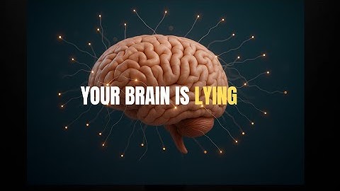 Why Your Brain Loves Procrastination