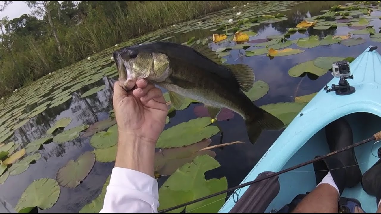 Kayak Bass Fishing Report 7-27-2024