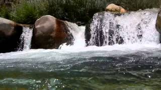 DSCN0285