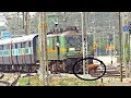 COW vs TRAIN !! DRIVER Shouts To Shoo it Away !!