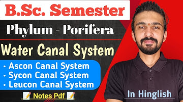 Canal System In Porifera || Ascon | Sycon | Leucon || Bsc Semester || By Dadhich Sir