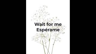 Pluralone - Wait for me (lyrics, español)