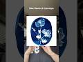 Can you print cyabotype using fake flowers? #artprocess #cyanotypeprinting #cyanotype #flowers