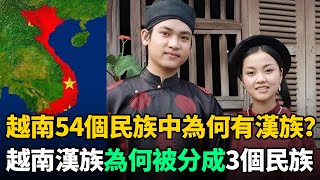 越南54個民族中為何有漢族？越南漢族為何又被分成3個民族？原因太扎心