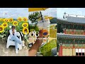 vlog~ unboxing, Gyeongju trip- Bulkguksa Temple, sunflower fields &amp; night at the beach🌻